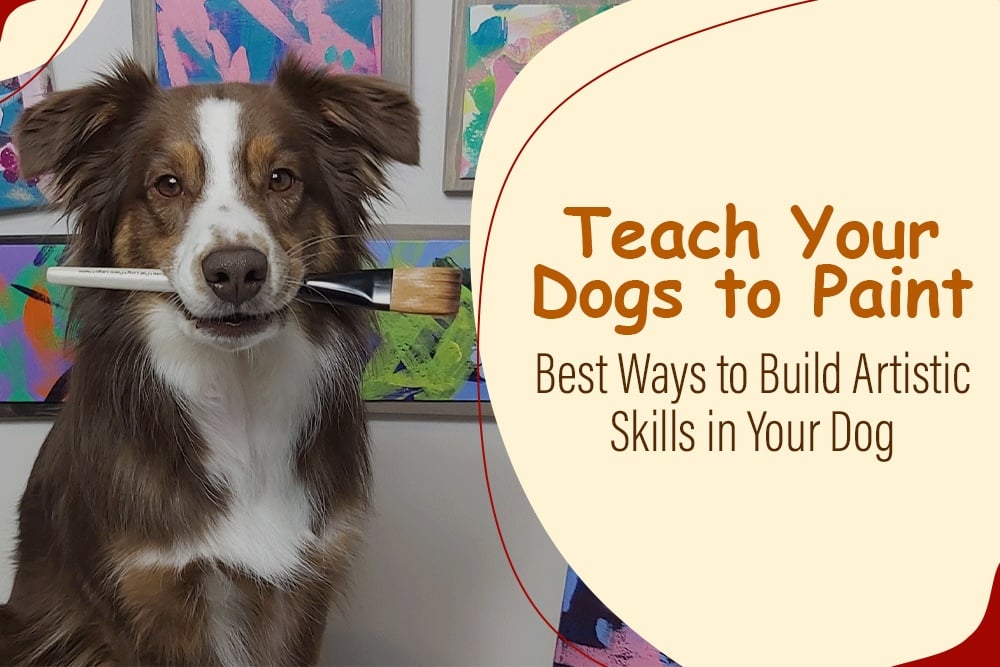 Teach Your Dogs to Paint