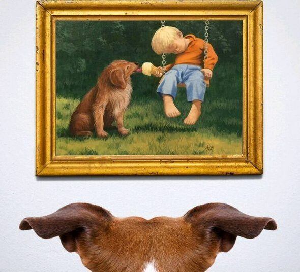 Do Animals React To Art