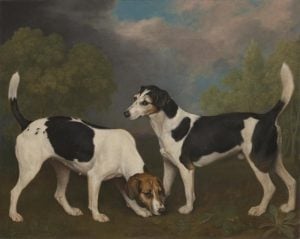 A Couple of Foxhounds