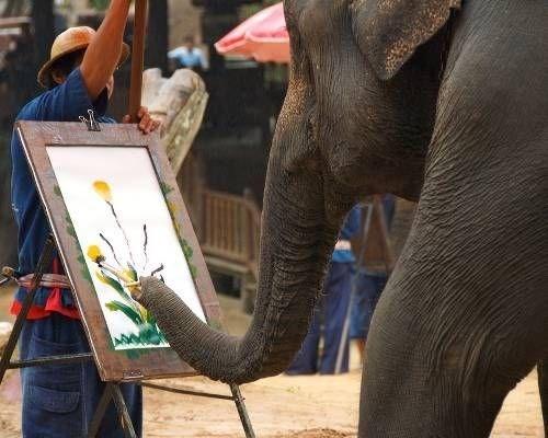 elephants using their trunks